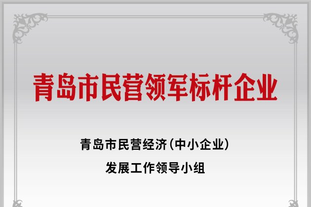 青岛市民营领军标杆企业